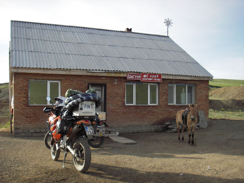 156 Pollet ja guanz
